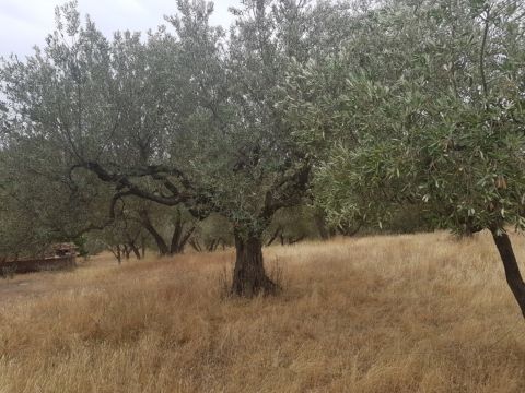 Via Sasso S. Pellegrino