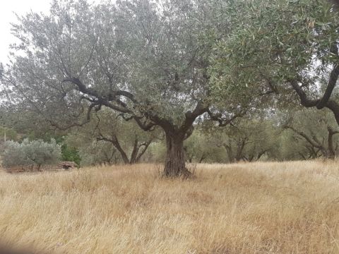 Via Sasso S. Pellegrino