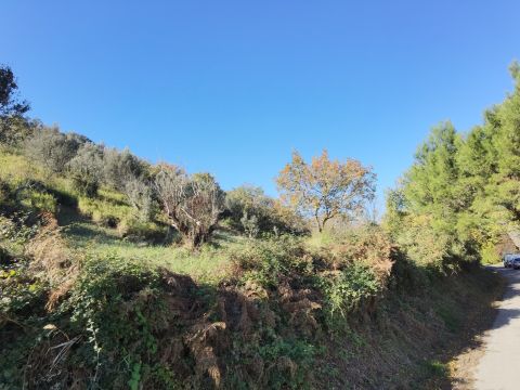 Caraffa di Catanzaro, CZ, Italia