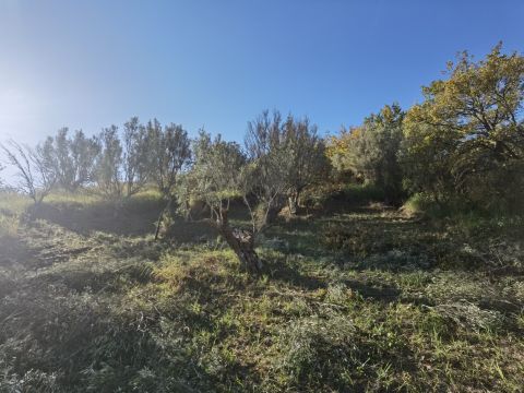 Caraffa di Catanzaro, CZ, Italia