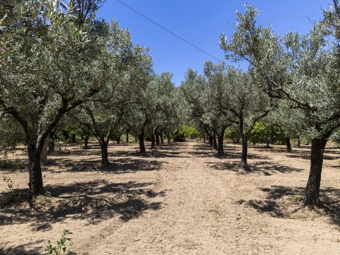 Località Abbrazzo