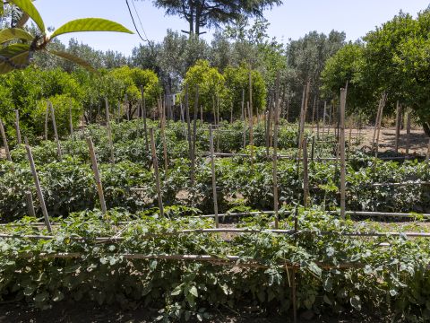 Località Abbrazzo