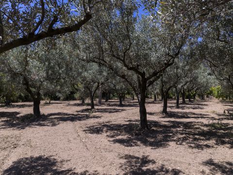 Località Abbrazzo