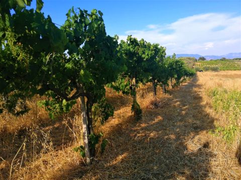 Via Formale Rotondo