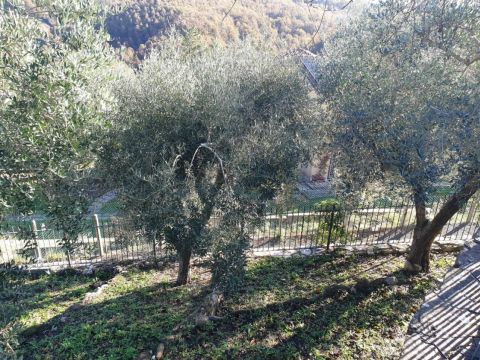 Via di Colonnetta - Loc. Palombara snc