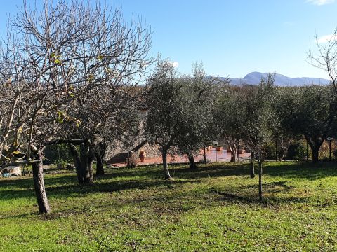 Via di Colonnetta - Loc. Palombara snc