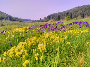 Terreno agricolo in vendita