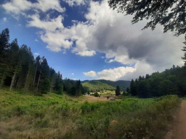 Terreno agricolo in vendita