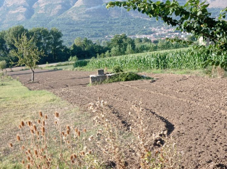 Terreno agricolo in vendita, via Campolongo, Bonea