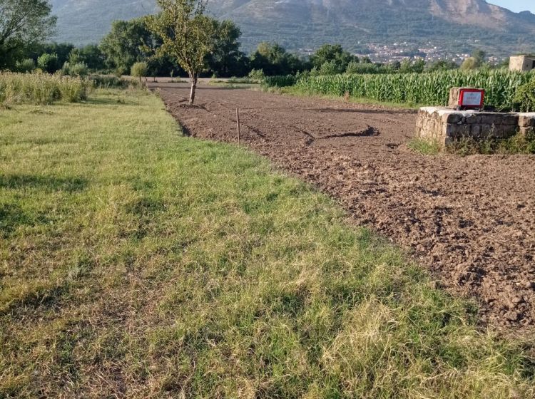 Terreno agricolo in vendita, via Campolongo, Bonea