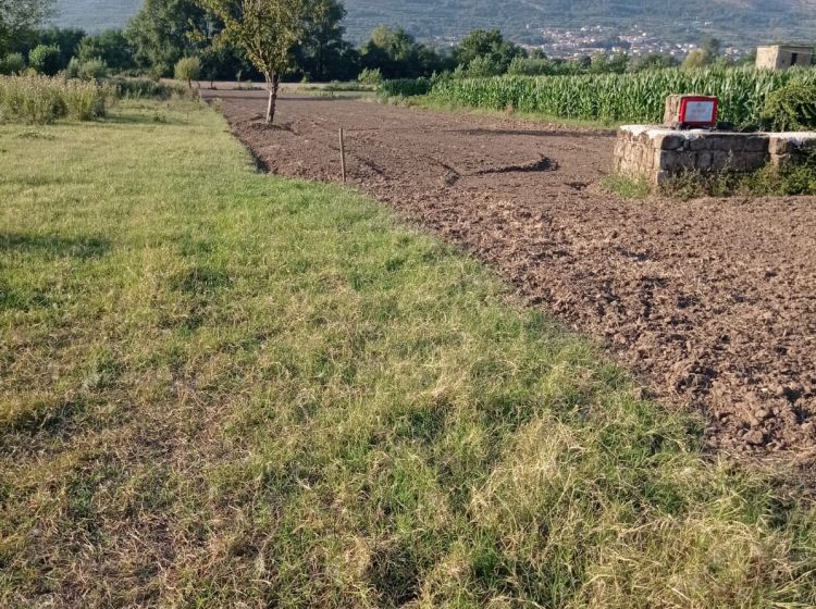 Terreno agricolo in vendita, via Campolongo, Bonea