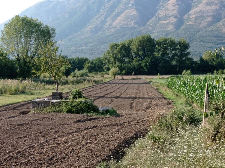 Terreno agricolo in vendita, via Campolongo, Bonea