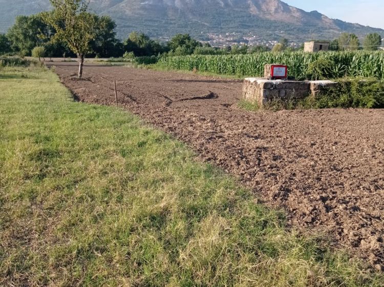 Terreno agricolo in vendita, via Campolongo, Bonea