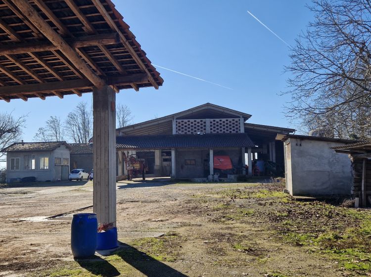 Azienda agricola in vendita, via Molino  71, Belgioioso