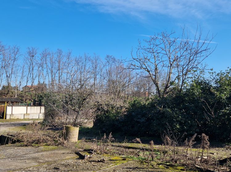 Azienda agricola in vendita, via Molino  71, Belgioioso