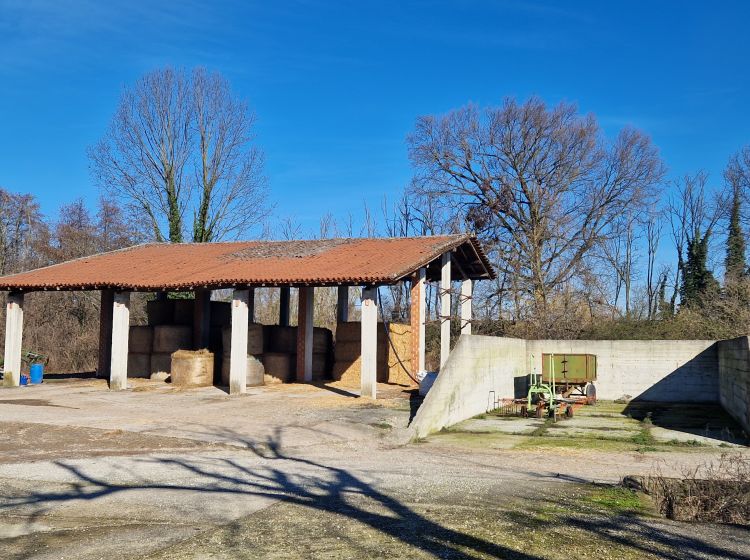 Azienda agricola in vendita, via Molino  71, Belgioioso