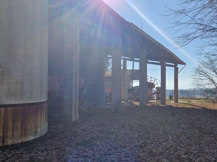 Azienda agricola in vendita, via Molino  71, Belgioioso