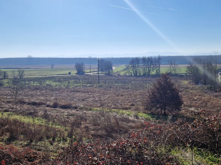 Azienda agricola in vendita, via Molino  71, Belgioioso