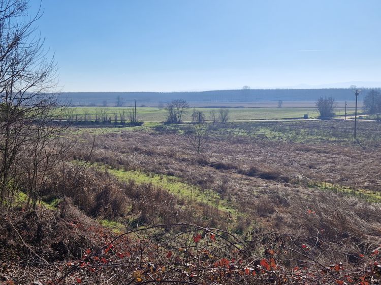 Azienda agricola in vendita, via Molino  71, Belgioioso