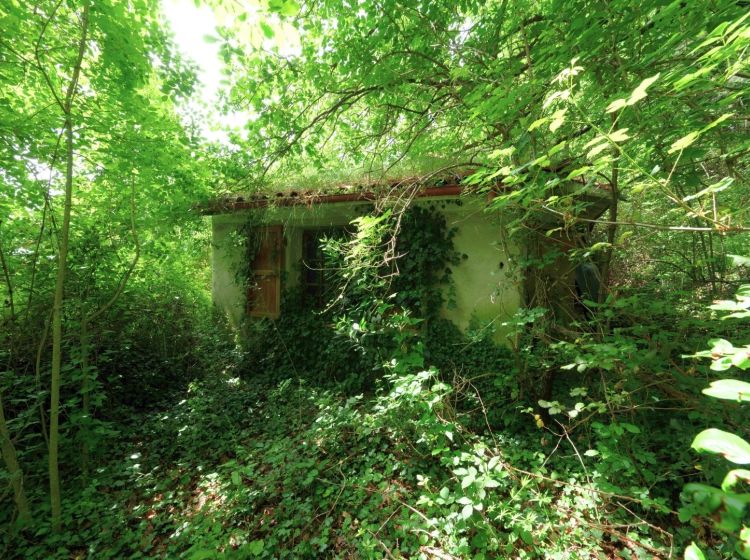 Villa in vendita, via Falcinello, Falcinello, Sarzana