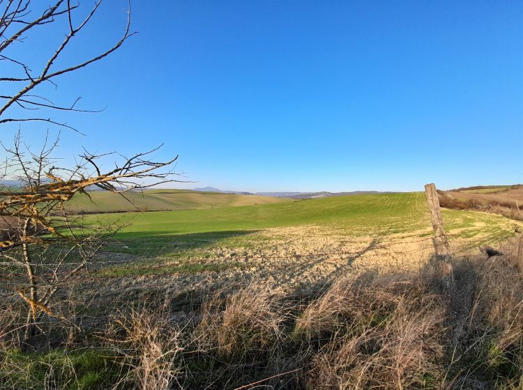 Rustico in vendita, Col della torre snc   Località La Valle, Proceno