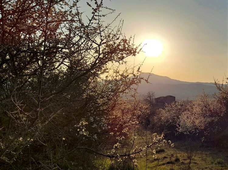 Rustico in vendita, Col della torre snc   Località La Valle, Proceno