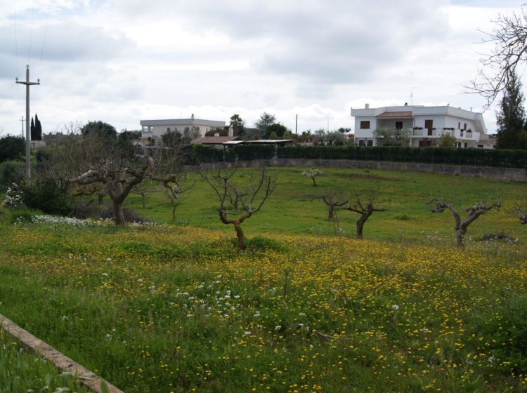 Trullo in vendita, Strada Paretone Zona I, Martina Franca