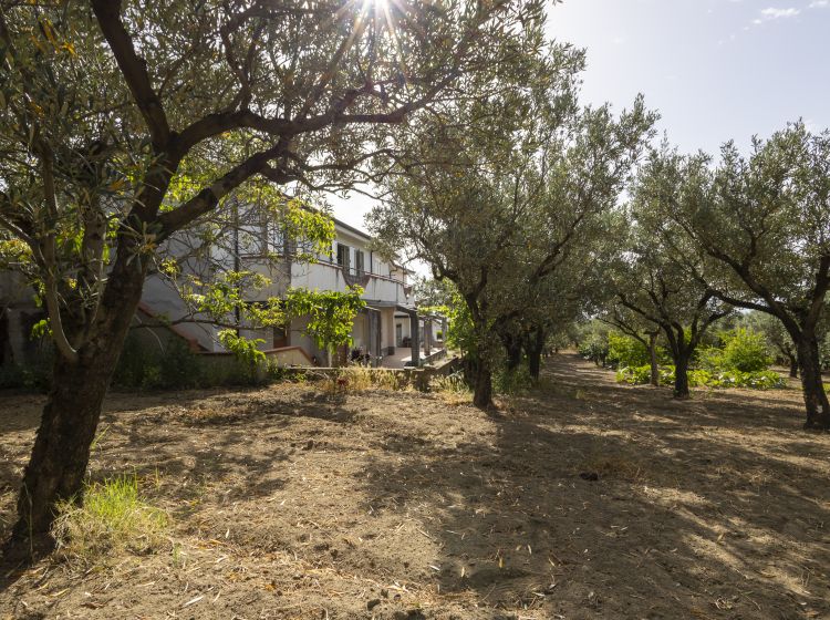 Villa in vendita, Località Zilleria, Montepaone Lido, Montepaone