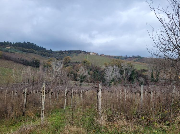 Casale in vendita, Contrada Serepenne, Villamagna