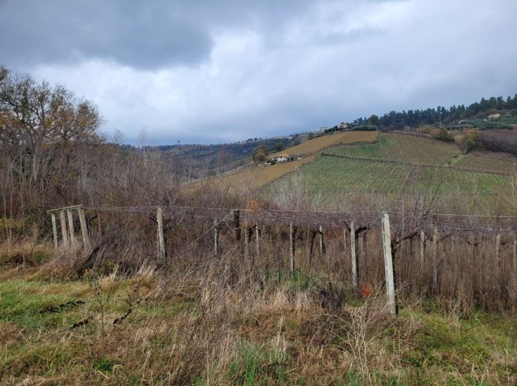 Casale in vendita, Contrada Serepenne, Villamagna