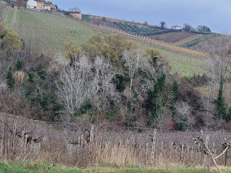 Casale in vendita, Contrada Serepenne, Villamagna