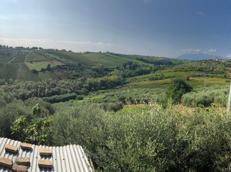 Terratetto unifamiliare in vendita, Contrada Piane  76, Francavilla Al Mare