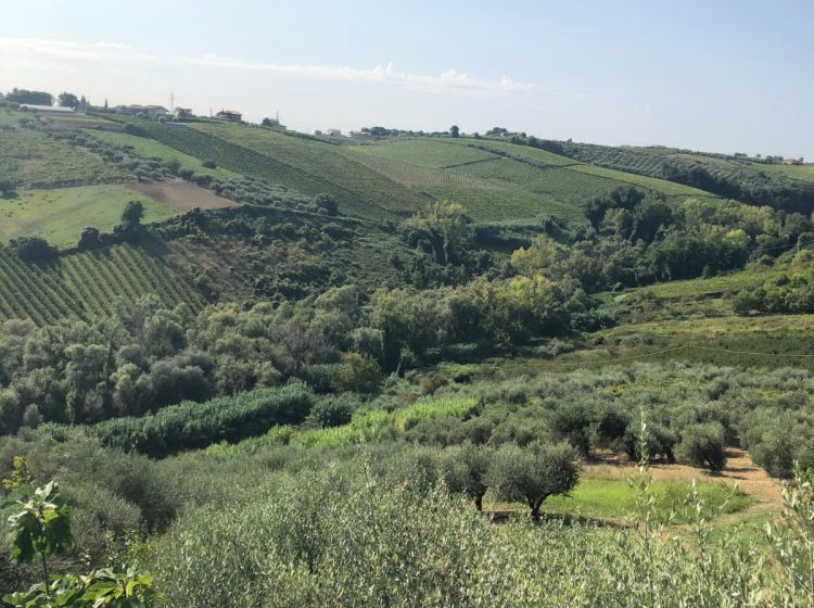 Terratetto unifamiliare in vendita, Contrada Piane  76, Francavilla Al Mare