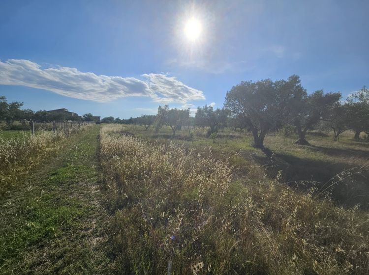 Terreno commerciale in vendita, Località Sena, Cropani Marina, Cropani