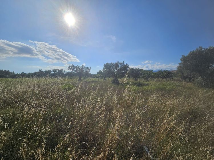 Terreno commerciale in vendita, Località Sena, Cropani Marina, Cropani