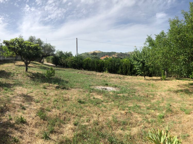 Casale in vendita, Strada Provinciale 45, Villa Raspa, Spoltore