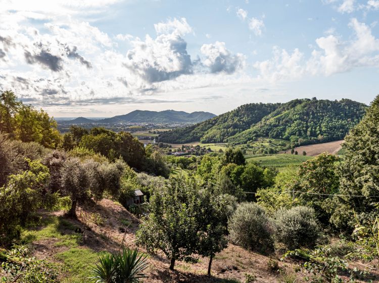 Villa in vendita, via Chiesa Tramonte  11, Tramonte, Teolo