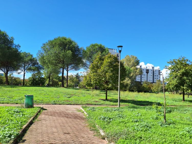 Villa in vendita, viale Aldo Ballarin  128, Tintoretto, Roma