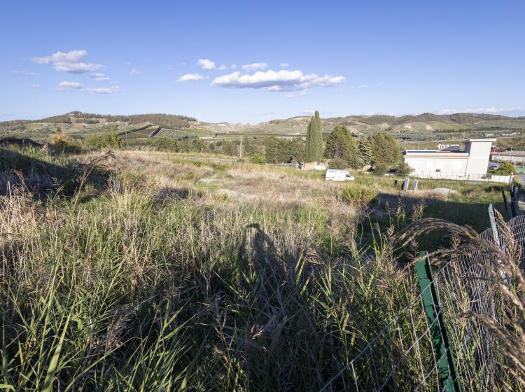 Terreno industriale o artigianale in vendita, Traversa Emilia, Catanzaro Lido, Catanzaro