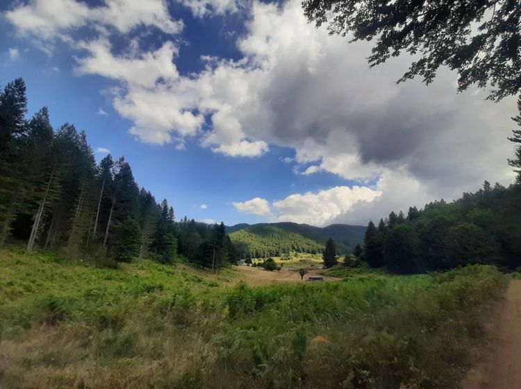 Terreno agricolo in vendita, Ciricilla  Taverna CZ  Italia, Taverna