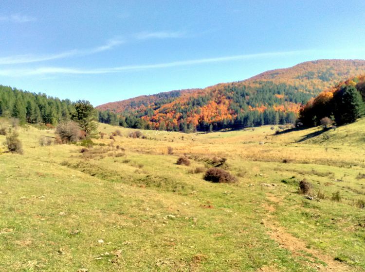 Terreno agricolo in vendita, Ciricilla  Taverna CZ  Italia, Taverna