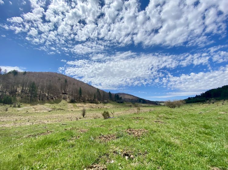 Terreno agricolo in vendita, Ciricilla  Taverna CZ  Italia, Taverna