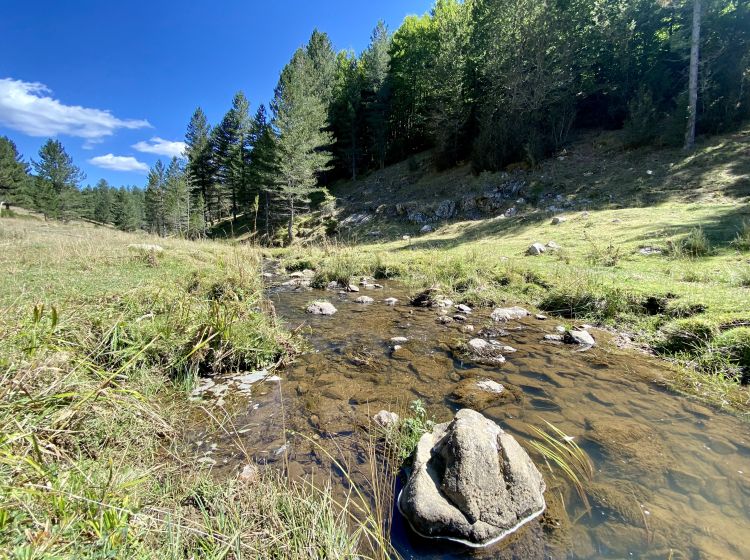 Terreno agricolo in vendita, Ciricilla  Taverna CZ  Italia, Taverna