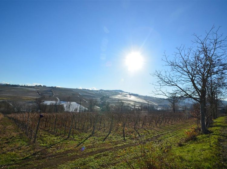 Terratetto unifamiliare in vendita, Località Versiggia 17, Santa Maria Della Versa