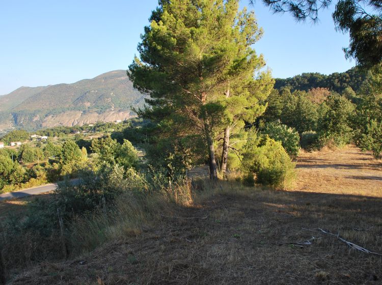 Terreno agricolo in vendita, Contrada Santa Caterina, Trecchina