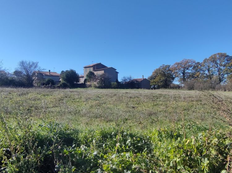 Terreno residenziale in vendita, Strada delle Carcarelle  31, Giardino, Vetralla