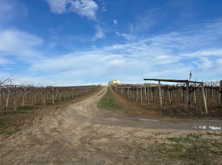 Casale in vendita, Strada Eugenio Maury  47, Città Sant&#039;angelo