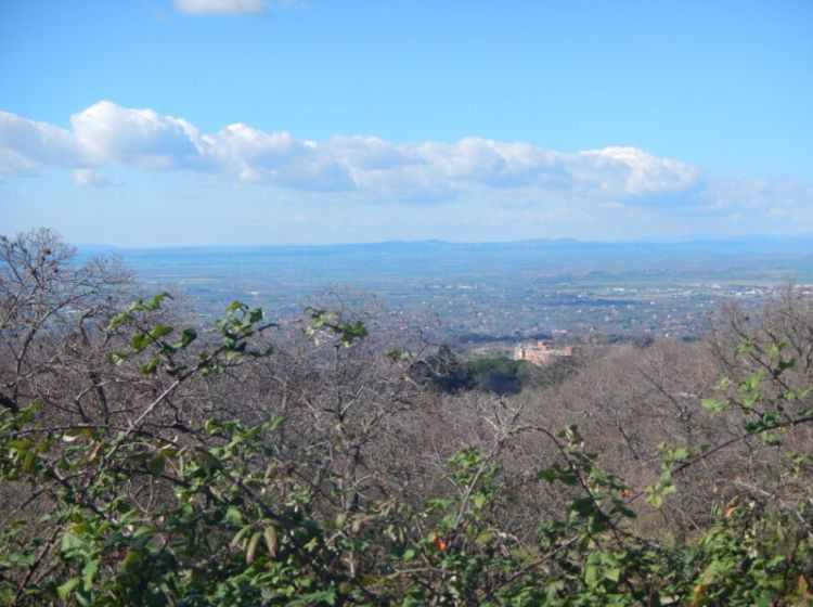 Capannone in vendita, Località Pian di San Martino, Vetralla