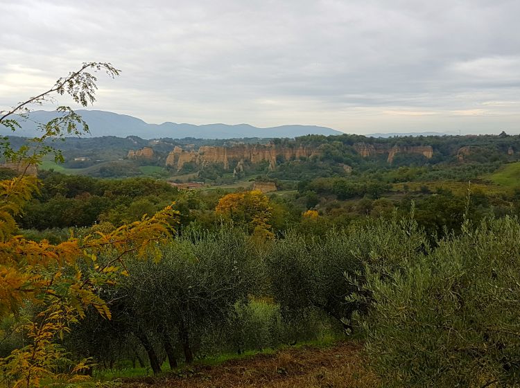 Rustico in vendita, via dei Poggi 58, Castelfranco Piandiscò