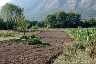 Terreno agricolo in vendita, via Campolongo, Bonea